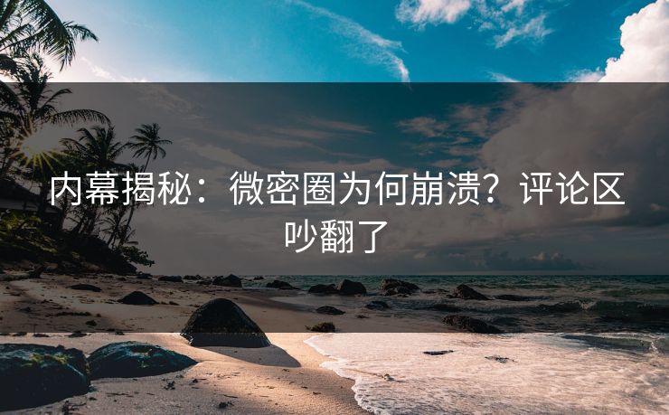 内幕揭秘：微密圈为何崩溃？评论区吵翻了