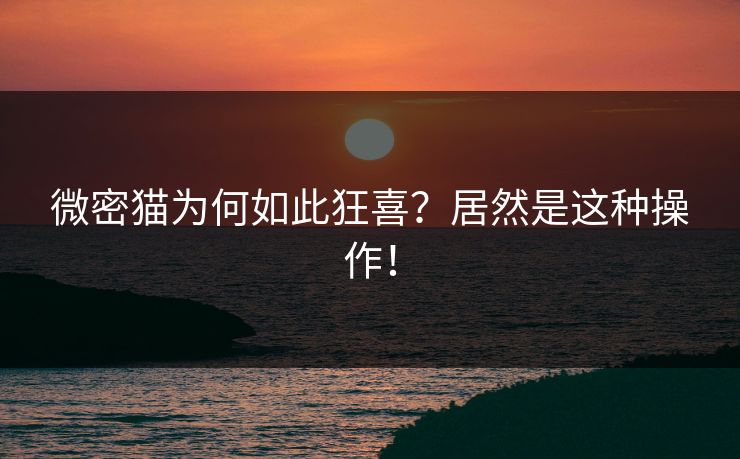 微密猫为何如此狂喜？居然是这种操作！
