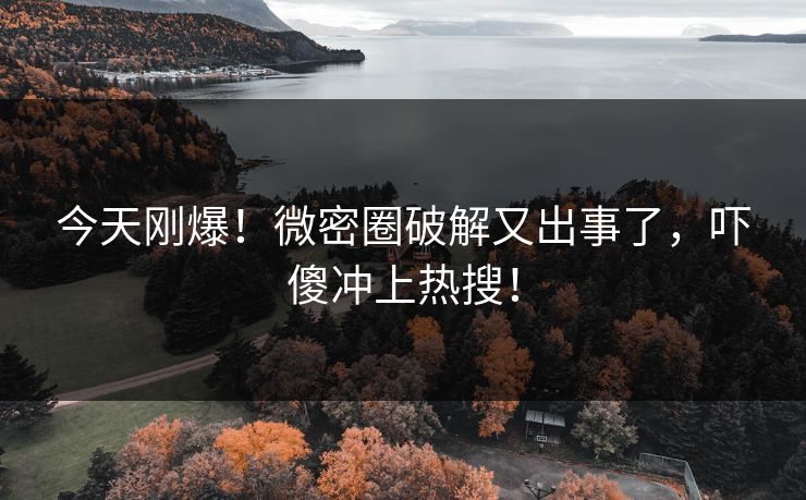 今天刚爆！微密圈破解又出事了，吓傻冲上热搜！