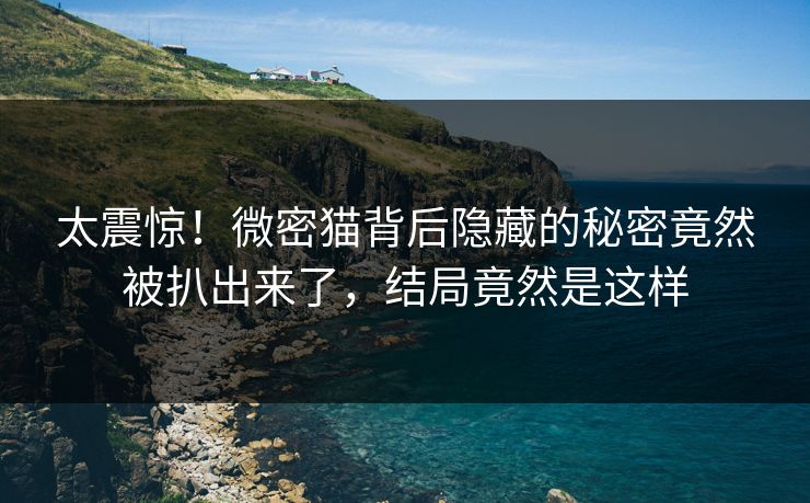 太震惊！微密猫背后隐藏的秘密竟然被扒出来了，结局竟然是这样