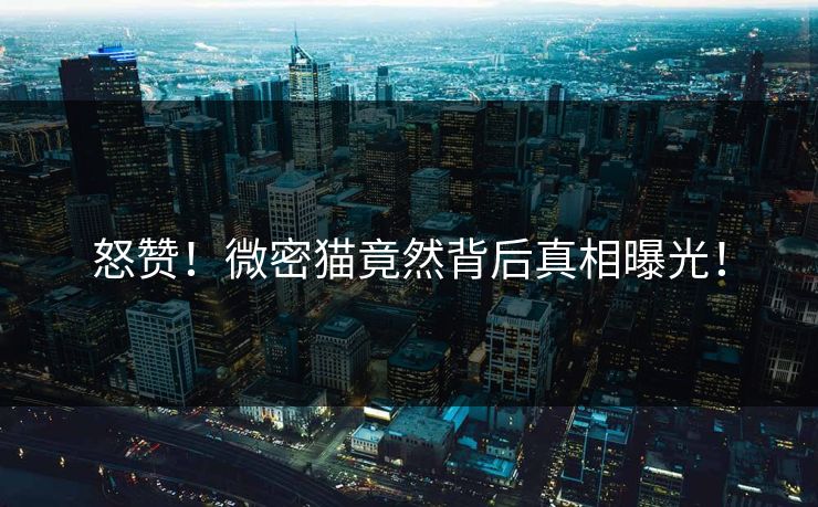 怒赞！微密猫竟然背后真相曝光！