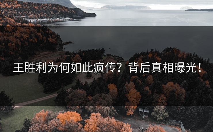 王胜利为何如此疯传？背后真相曝光！