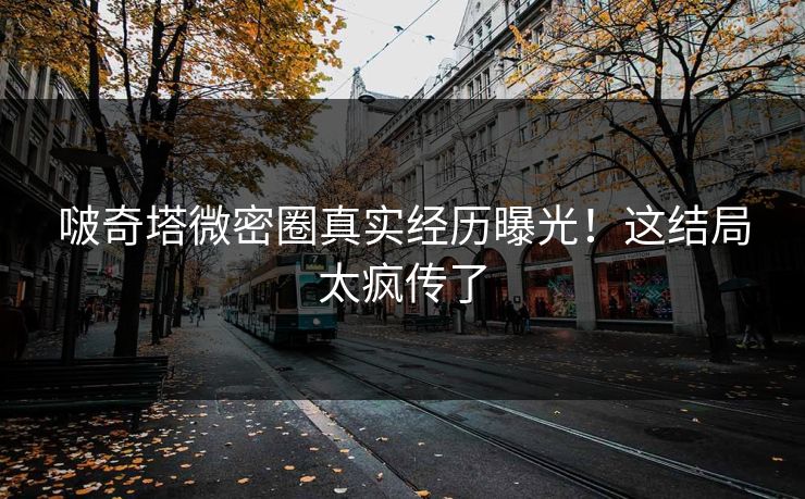 啵奇塔微密圈真实经历曝光！这结局太疯传了