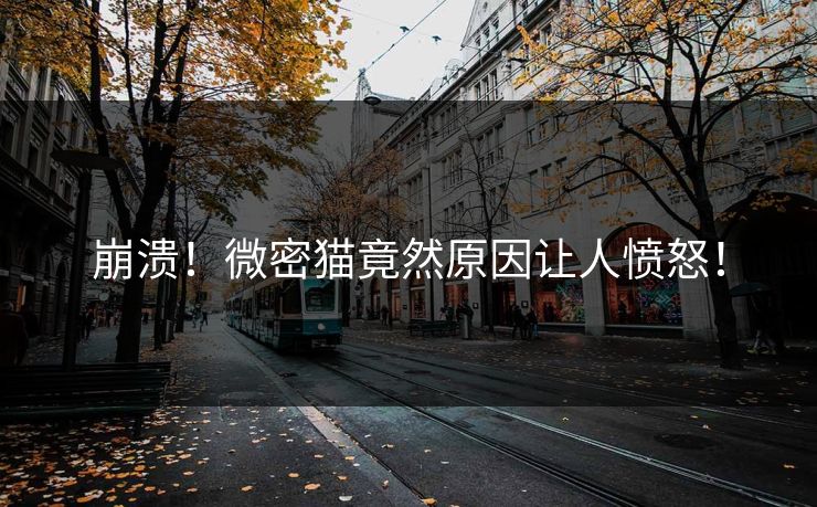 崩溃！微密猫竟然原因让人愤怒！