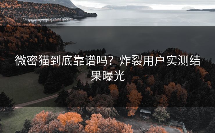 微密猫到底靠谱吗？炸裂用户实测结果曝光