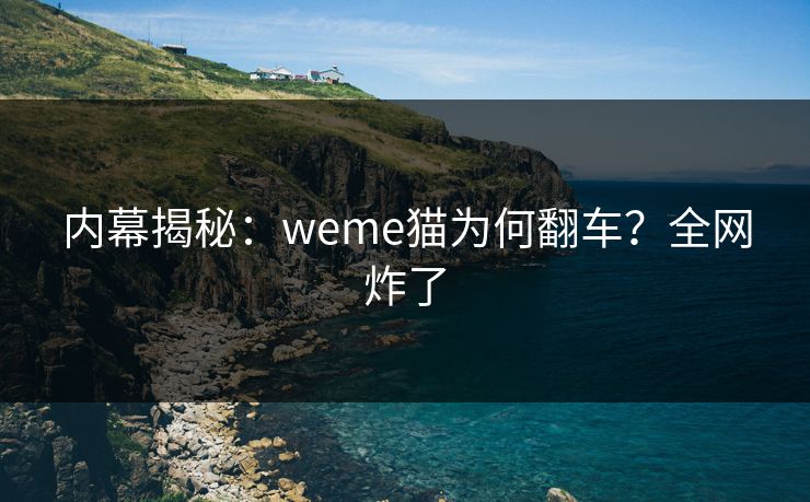内幕揭秘：weme猫为何翻车？全网炸了