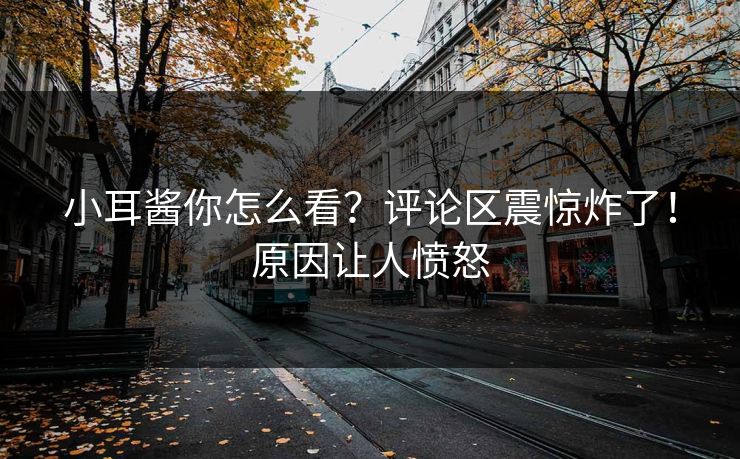 小耳酱你怎么看？评论区震惊炸了！原因让人愤怒