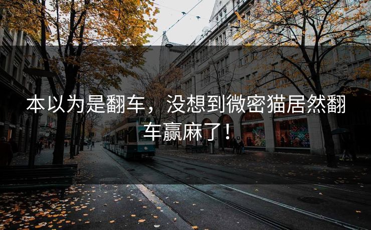 本以为是翻车，没想到微密猫居然翻车赢麻了！