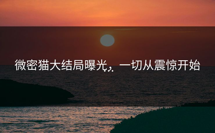 微密猫大结局曝光，一切从震惊开始…