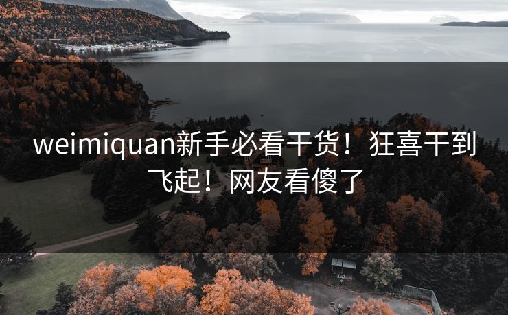 weimiquan新手必看干货！狂喜干到飞起！网友看傻了