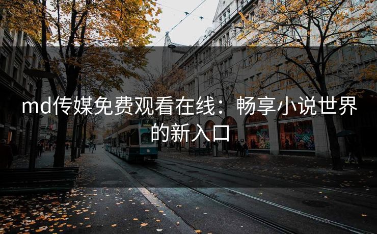 md传媒免费观看在线：畅享小说世界的新入口