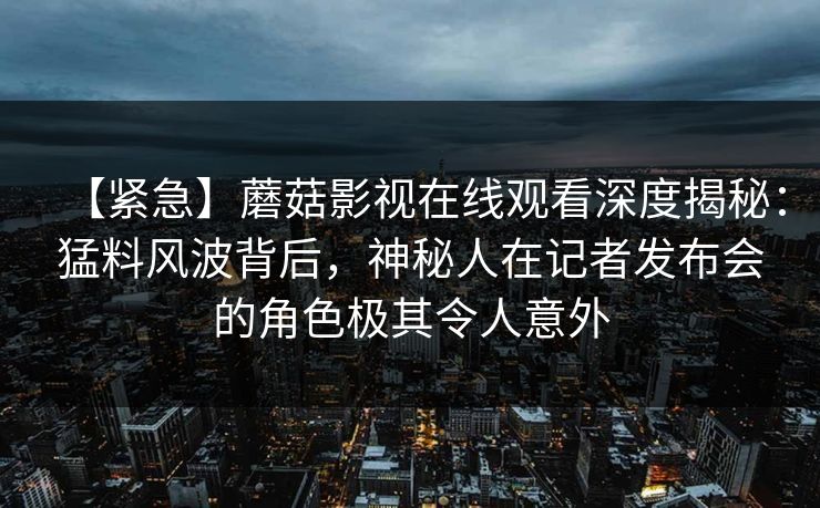 【紧急】蘑菇影视在线观看深度揭秘：猛料风波背后，神秘人在记者发布会的角色极其令人意外