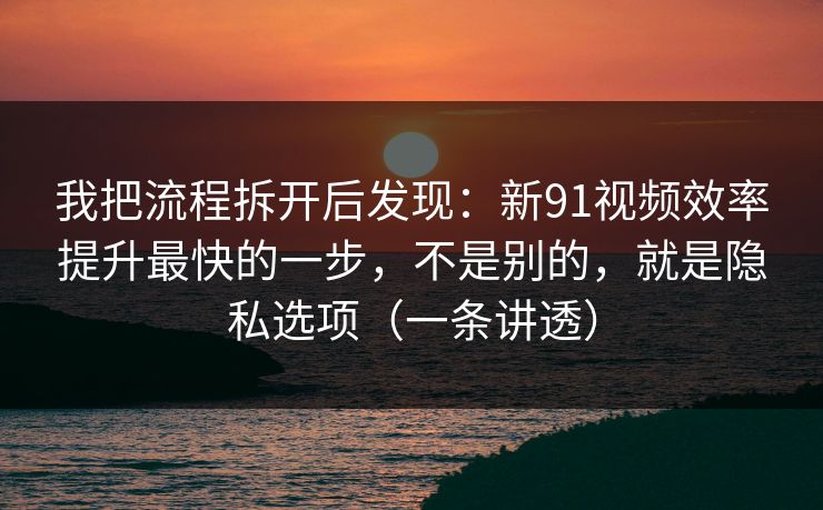 我把流程拆开后发现：新91视频效率提升最快的一步，不是别的，就是隐私选项（一条讲透）